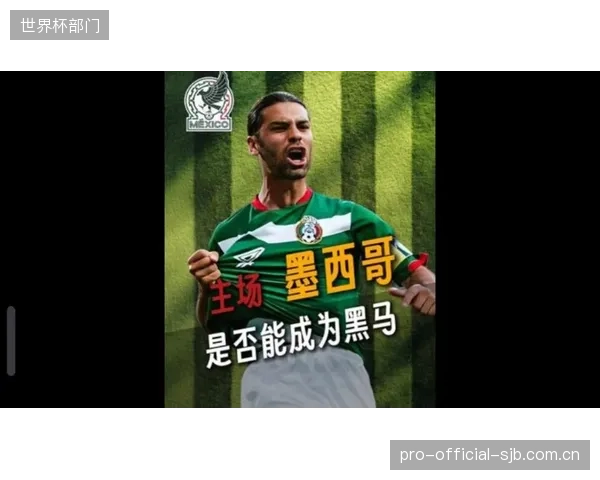 历史数据显示墨西哥在主场作战时表现强势,球迷的巨大支持是球队关键力量。 历史数据显示墨西哥在主场作战时表现强势,球迷的巨大支持是球队关键力量。